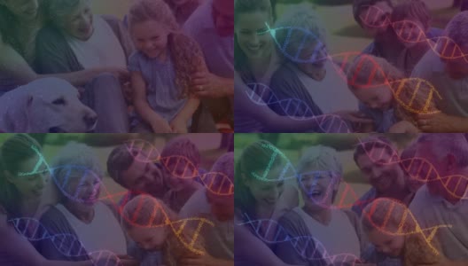动画的3d彩色dna链旋转在多代家庭高清在线视频素材下载