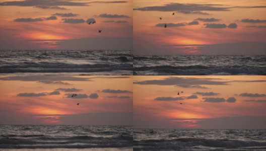 日落时分，鸟儿逆风在美丽的黄昏海面上翱翔。夏日的沙滩上大气的傍晚高清在线视频素材下载