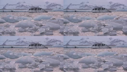 冰岛的海滨景观高清在线视频素材下载