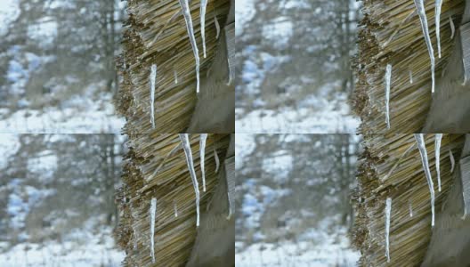 解冻。水从木茅草棚顶滴下高清在线视频素材下载