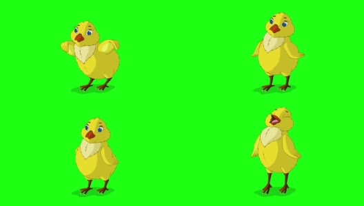 Yellow Chicken Stands和推特Chroma Key高清在线视频素材下载