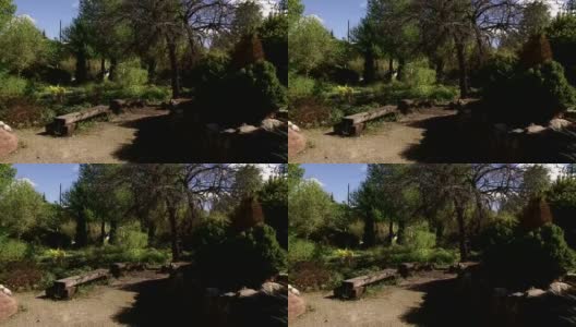有长凳和树木的林间空地，把镜头往前移高清在线视频素材下载
