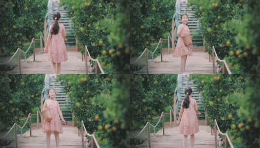 快乐的女孩拿着棒棒糖在橘子林散步高清在线视频素材下载