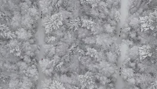 3人在美丽的雪林里行走，鸟瞰冬天。一家人背着背包徒步穿越寒冷的树林高清在线视频素材下载