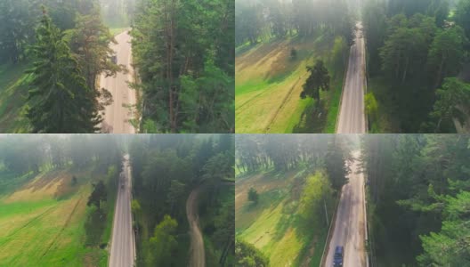 森林之路，4k航拍视频高清在线视频素材下载