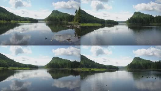 夏季北方自然森林和湖泊鸟瞰图高清在线视频素材下载