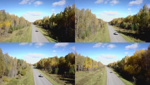 镜头跟随一辆在桦树林中行驶的汽车高清在线视频素材下载