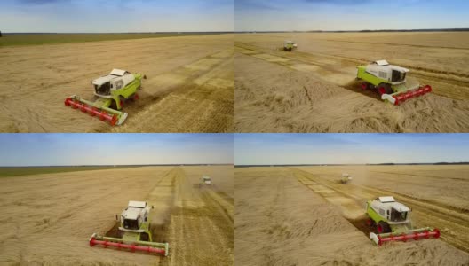 近景联合收割机在田间收获丰富的黑麦作物，扬起灰尘高清在线视频素材下载