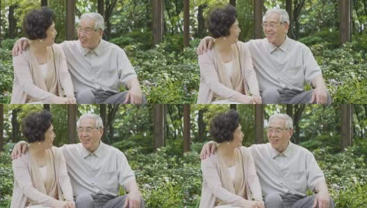 轻松快乐的中国老年夫妇在公园外聊天高清在线视频素材下载