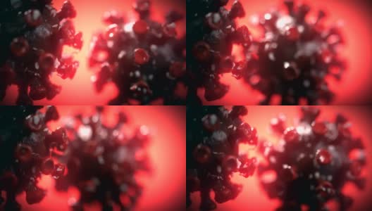 ECU血液中的两个冠状病毒细胞高清在线视频素材下载
