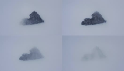 一架无人机穿过云层，在一片真正的心形森林上拍摄。高清在线视频素材下载