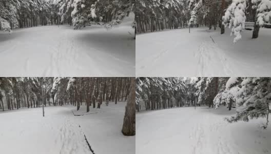 冬天的观点。在冰雪覆盖的冬季森林里拍摄视频、登山和徒步旅行。高清在线视频素材下载