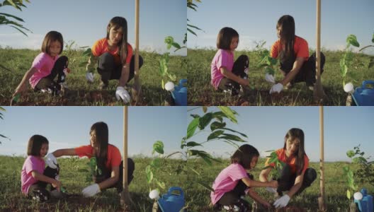 年轻妇女和女孩在晚上植树。高清在线视频素材下载
