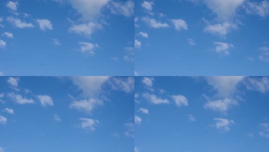 一大群雨燕在蓝天白云的背景下盘旋。高清在线视频素材下载