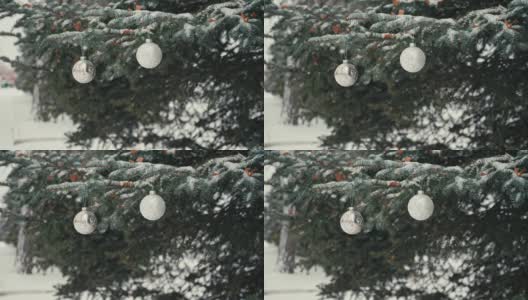 白色的圣诞树球挂在户外的蓝色云杉树上积雪的树枝上高清在线视频素材下载
