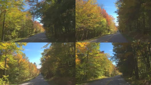 POV LENS FLARE:在阳光明媚的秋日里，驾车穿越美丽多彩的森林高清在线视频素材下载