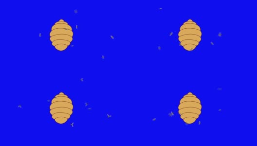 蓝屏上的蜜蜂围着蜂巢飞高清在线视频素材下载