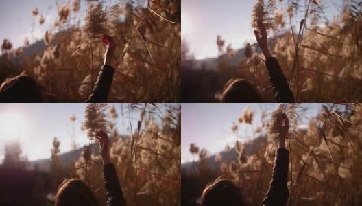 一个红头发的女人抚摸着田野里的植物高清在线视频素材下载