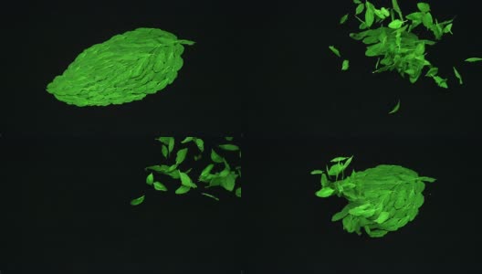 罗勒叶吹走高清在线视频素材下载