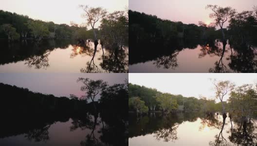 森林和河流与落阳高清在线视频素材下载