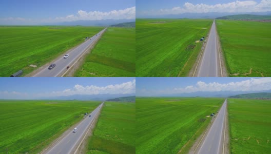 鸟瞰一望无际的绿色麦田里的道路高清在线视频素材下载