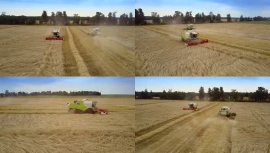联合收割机收获了丰富的小麦作物，使秸秆在田间滚动高清在线视频素材下载