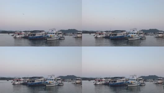 海鸥飞过香港西贡的船只和游艇高清在线视频素材下载