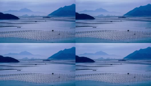 延时拍摄:中国福建霞浦的海藻养殖。高清在线视频素材下载