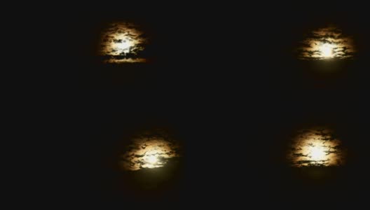 夜晚的满月和快速移动的云在树木的黑暗背景上。高清在线视频素材下载