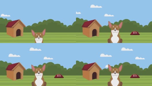 可爱的狗吉祥物与房子和食物的场景高清在线视频素材下载