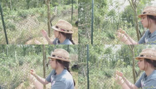 Top down相机运动的一个迷人的年轻研究妇女与太阳帽数种子和水果的花的科学研究，而坐在地球上的田野在夏季植物学植物科学自然花研究植物学家anal高清在线视频素材下载