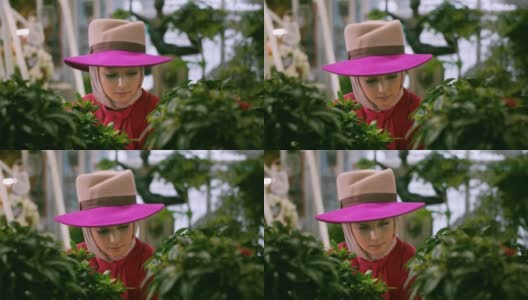 戴着帽子的浪漫女人在橘子园的绿色植物中张望。画一个戴着帽子的漂亮女人在绿色植物丛生的花园里摆姿势。高清在线视频素材下载