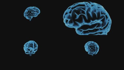 人类大脑的旋转是黑色背景下的蓝色高清在线视频素材下载