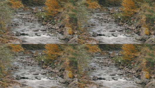 喀尔巴阡山脉中湍急而寒冷的Cheremosh溪。Dzembronya山村初秋雾蒙蒙的早晨高清在线视频素材下载