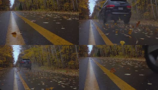 一辆黑色的汽车行驶在潮湿的森林道路上，旋转着落叶高清在线视频素材下载