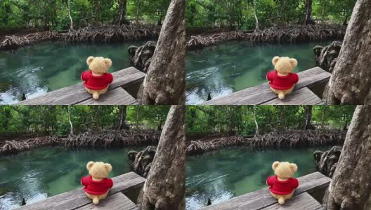 泰迪熊坐在天然运河附近的一座桥上。清澈的绿色溪流流过红树林的根部。在阴凉美丽的大自然中。高清在线视频素材下载