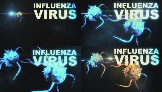 流感病毒细胞图解高清在线视频素材下载