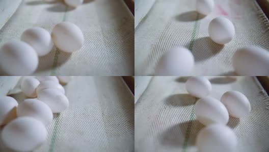 鸡蛋在生产线上移动。特写镜头高清在线视频素材下载