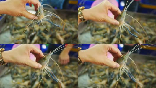 海虾在市场上卖海鲜。高清在线视频素材下载