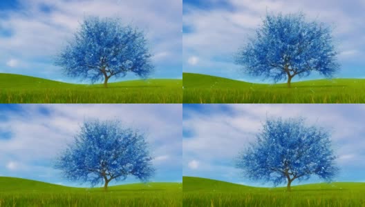 超现实的蓝色樱花樱花树在盛开的幻想3D动画高清在线视频素材下载