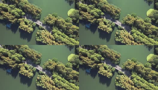 通过湖泊和树木区域的道路的空中俯瞰高清在线视频素材下载