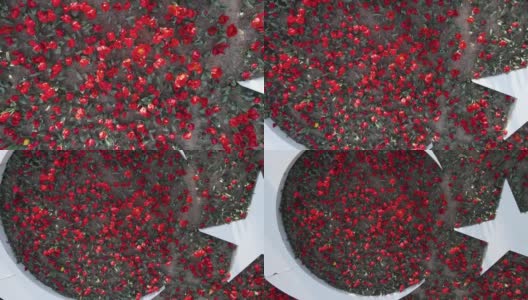红色郁金香和土耳其国旗无人机视频高清在线视频素材下载