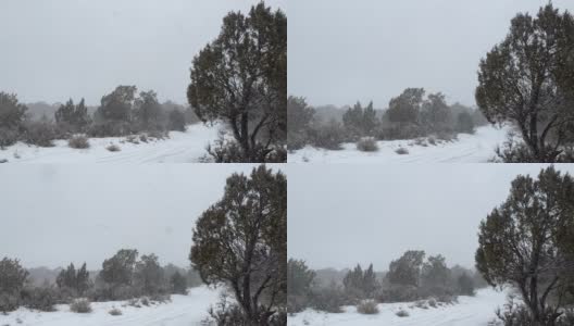 暴风雪暴风雪在强风科罗拉多冬季降雪在山脉沙漠和河流极端天气条件视频系列高清在线视频素材下载