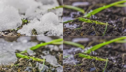 融化的雪/融化的冰/泉水/春天的时间高清在线视频素材下载