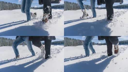 在阳光明媚的冬日里在雪地里徒步旅行高清在线视频素材下载