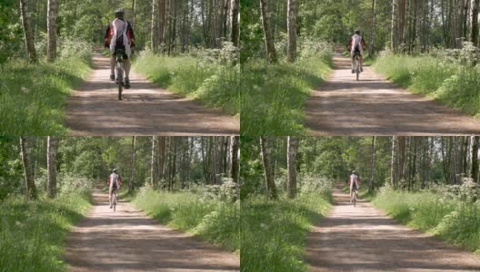 一个男人在森林小径上骑自行车。他过着健康的生活高清在线视频素材下载