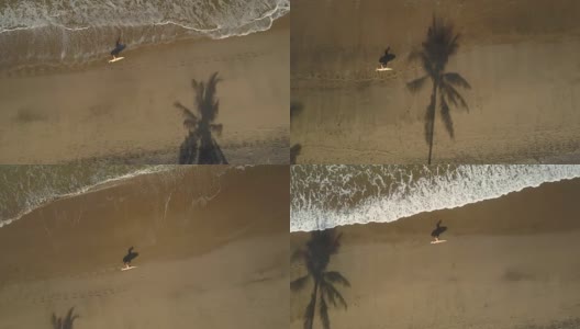 空中俯瞰:冲浪者手持冲浪板沿着热带沙滩奔跑高清在线视频素材下载