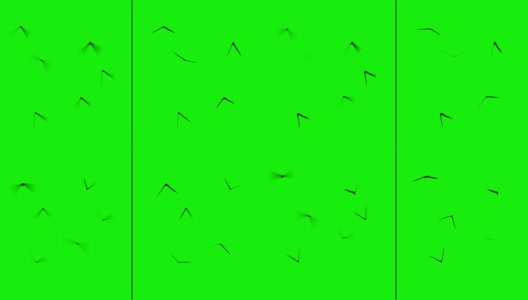在绿色屏幕上飞行的昆虫分为两组。平动模糊高清在线视频素材下载