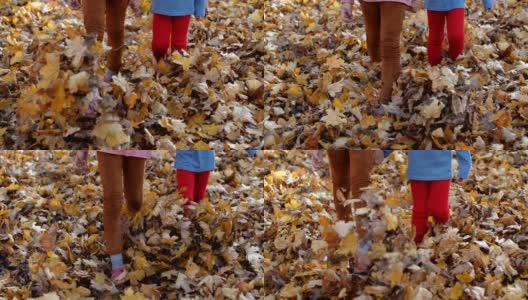秋天，两个女孩在公园里散步。两个孩子的腿在踢覆盖在地上的黄色叶子的特写。地毯的树叶。200帧/秒的慢动作高清在线视频素材下载