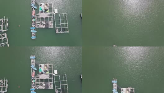 香港南丫岛索罟湾的海鱼养殖筏子高清在线视频素材下载